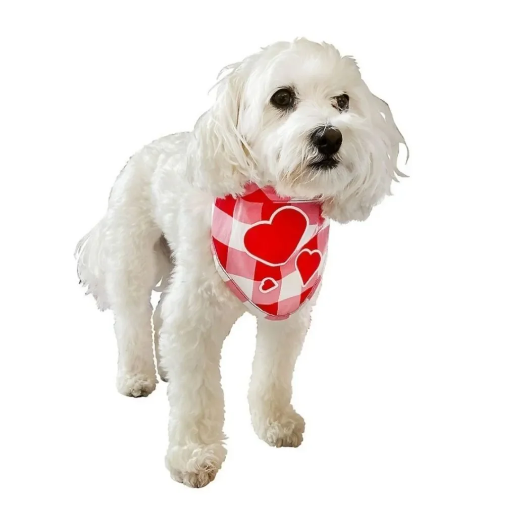 Woof Hearts and Love Pet Bandana Adjustable Neck Small - Medium Dogs Cats New